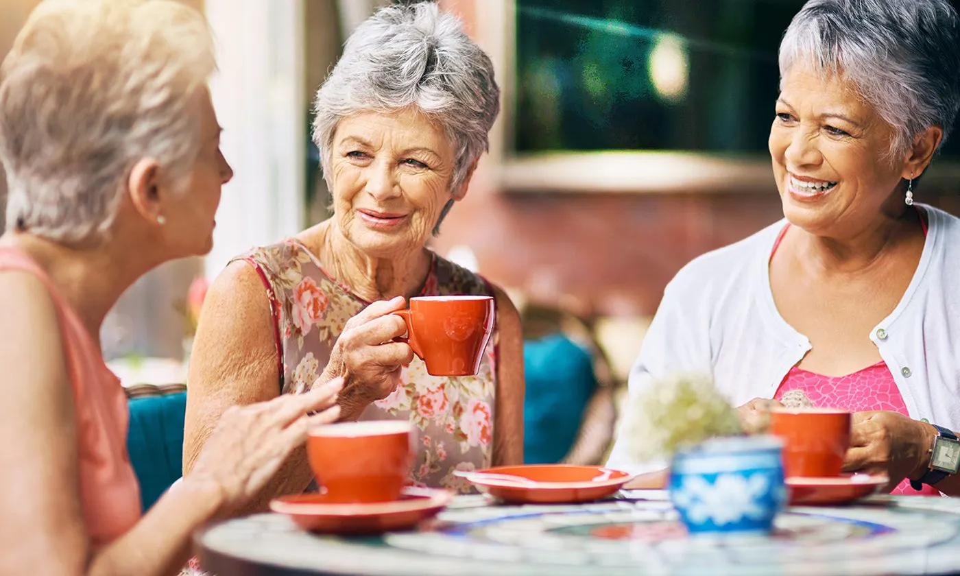 Older Ladies Having Coffee Split Pod