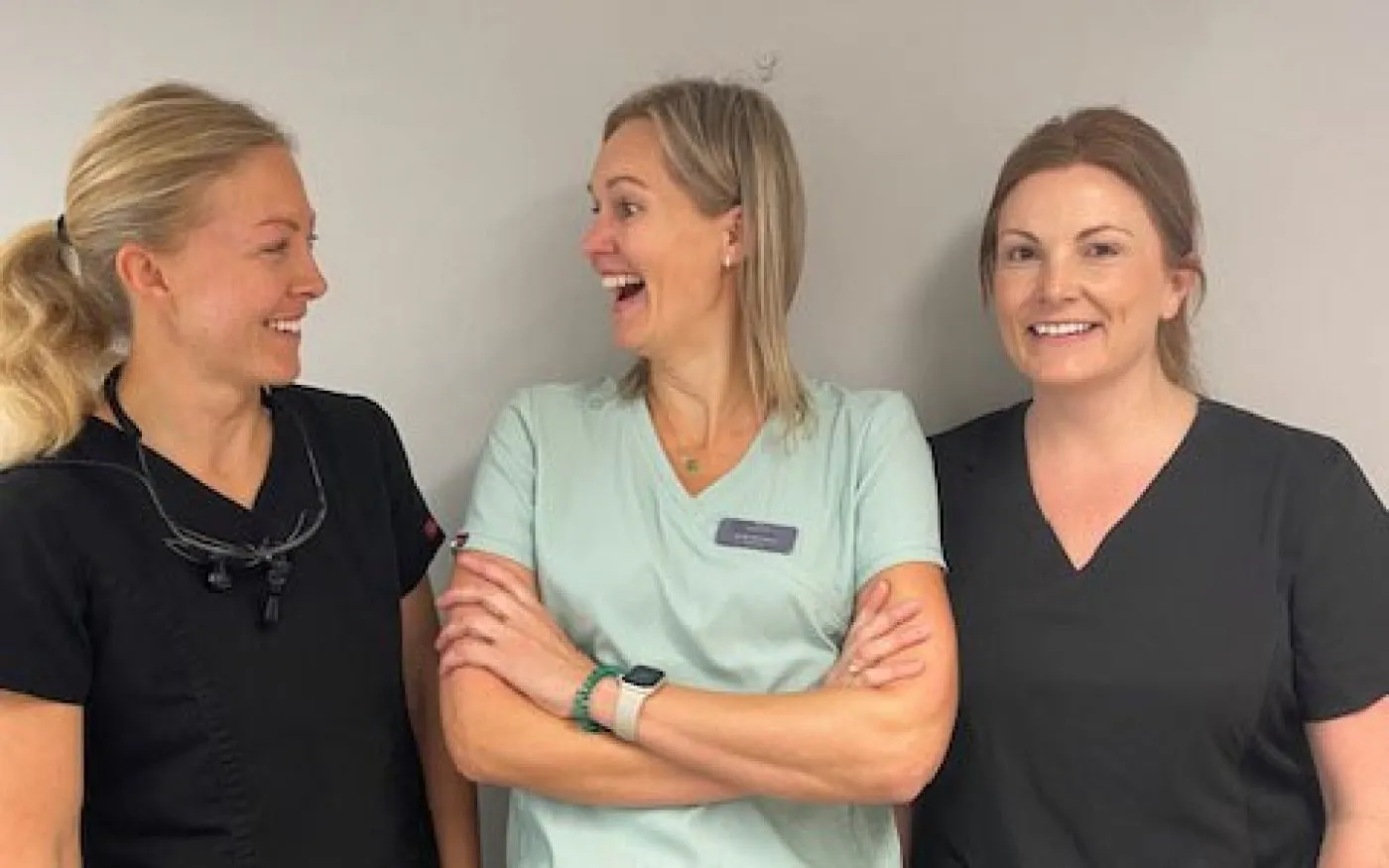 Hygienists Manor House Web
